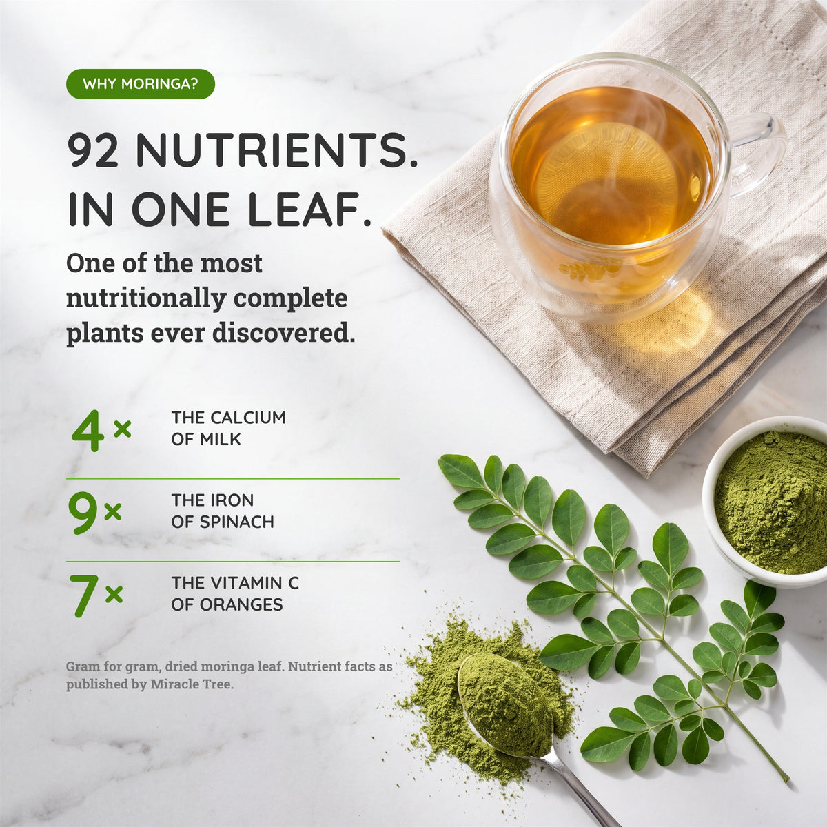 Organic Moringa Tea - Mint - Caffeine-Free Herbal Tea