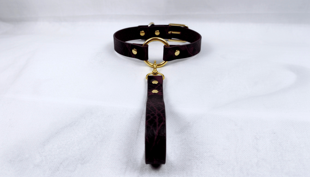 Red Leather BDSM Collar with Leash | Gold O Ring Choker | Luxury Day Collar
