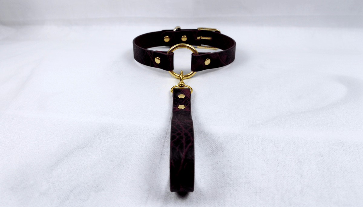 Red Leather BDSM Collar with Leash | Gold O Ring Choker | Luxury Day Collar